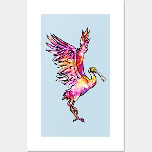 Roseate Spoonbill Posters and Art